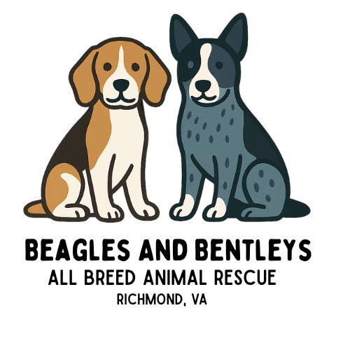 Beagles & Bentleys Logo